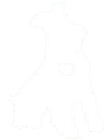 dogo